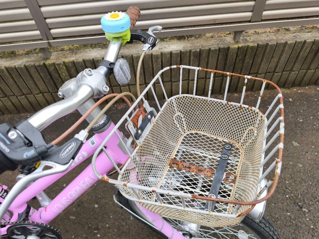 【引き取り限定】ルイガノ J20 plus パープル 20インチ