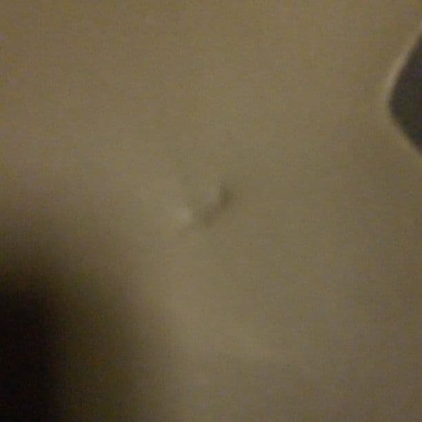 ビラボン5/3セミドライ　オーダー　2015