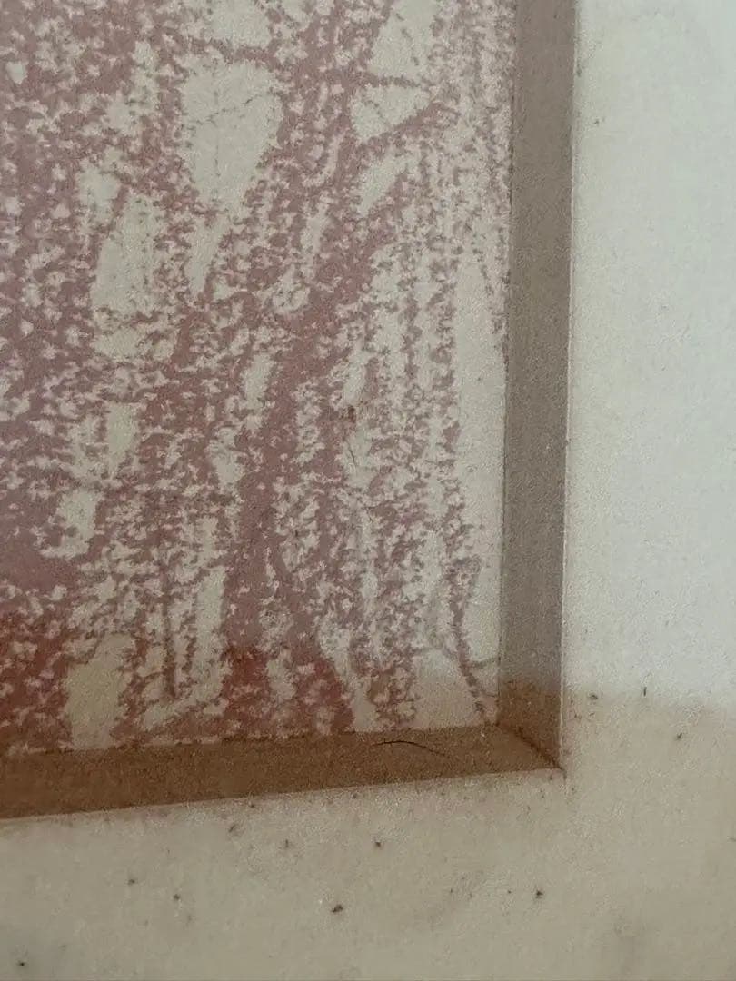 ⭐️【林武】裸婦　限定品　石版画集　45/95 【額付き】