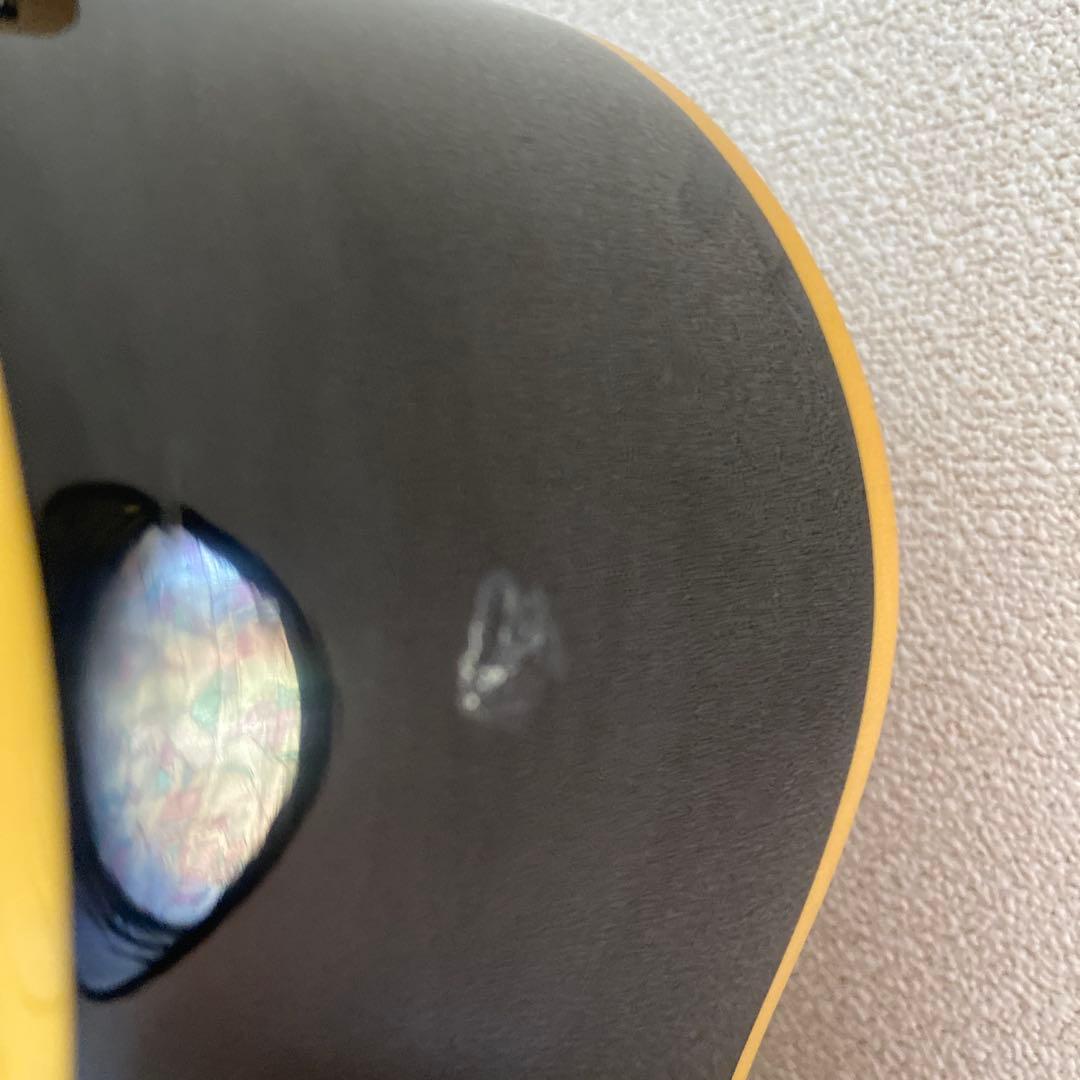 極稀少★エピフォンEO-2/B(エレアコ) Epihone EO-2/B 蝶々