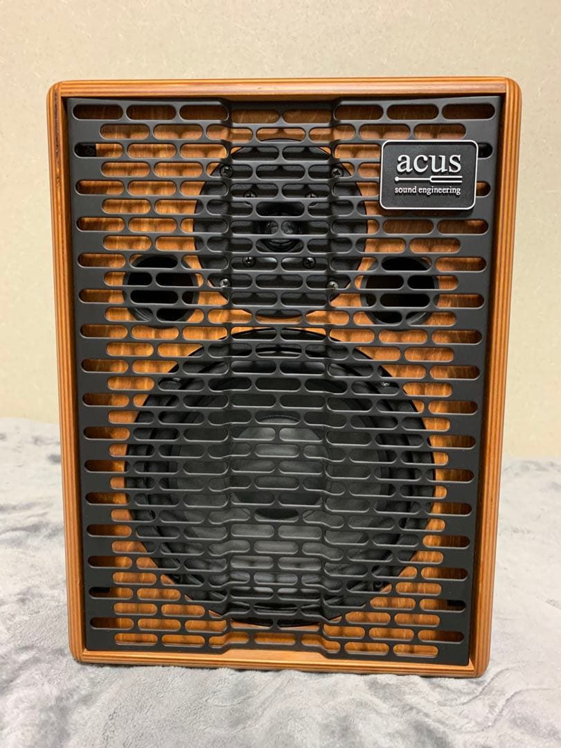 ギター Acus Oneforstrings 8