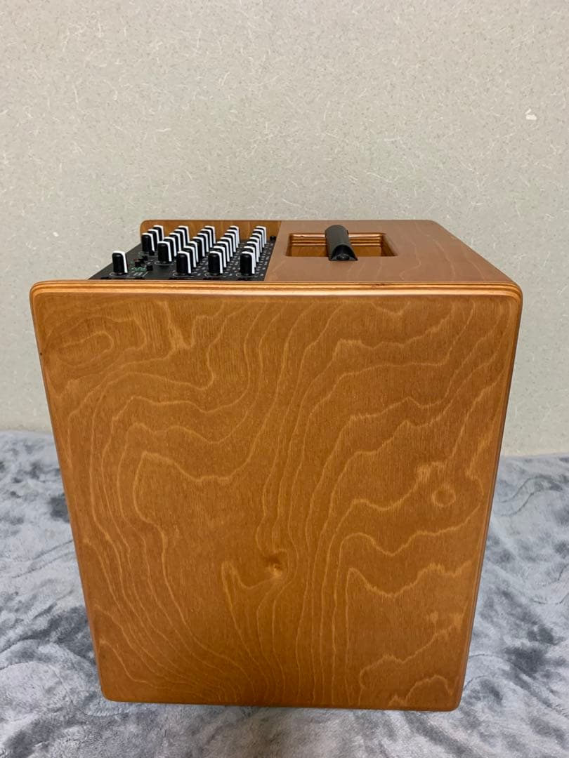 ギター Acus Oneforstrings 8