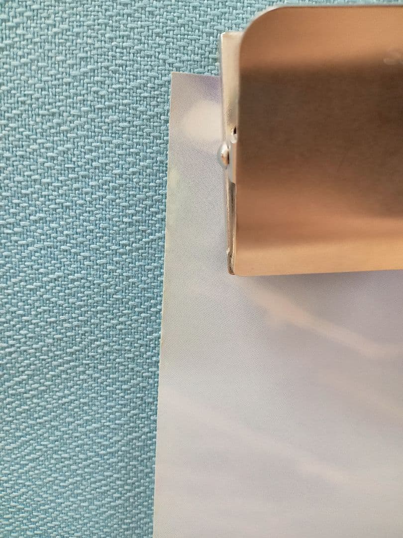 ケイブ 虫姫さま アーケード B1ポスター