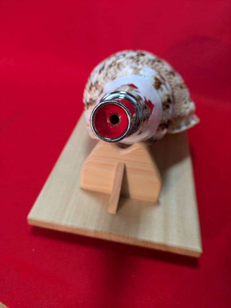 法螺貝ＮＯ−５１Ｓ ホラ貝、和楽器、和太鼓 修験道