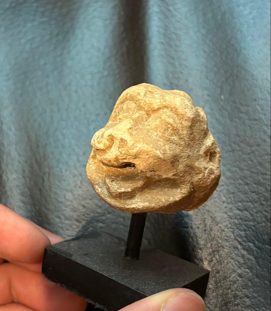 ハッダ　ストゥッコ　獅子頭部残欠