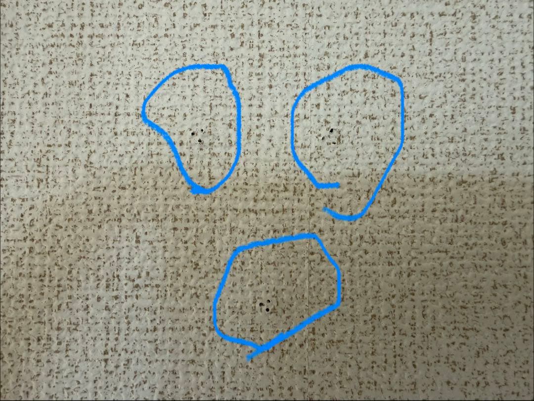 跡が目立たないから賃貸OK！DIYキャットウォーク/キャットステップ大量セット