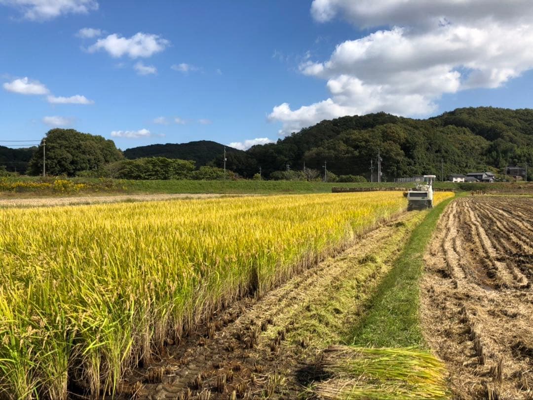 農家直送の美味しいお米 令和7年度産ヒノヒカリ 30キロ