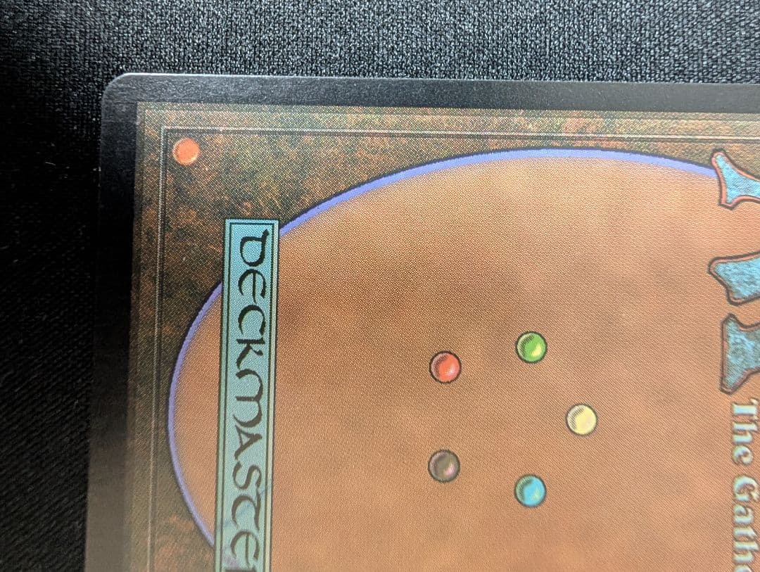 Guruランド グルランド 森