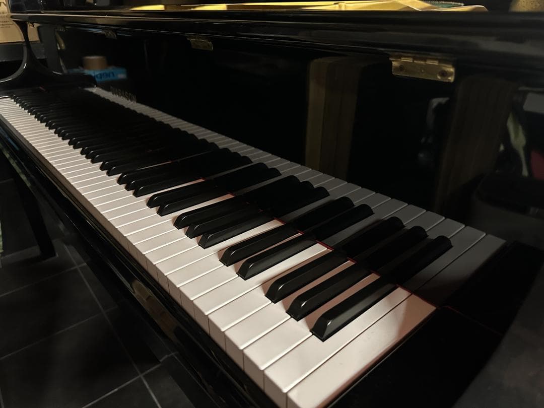 DIAPASON(ディアパソン) 183E