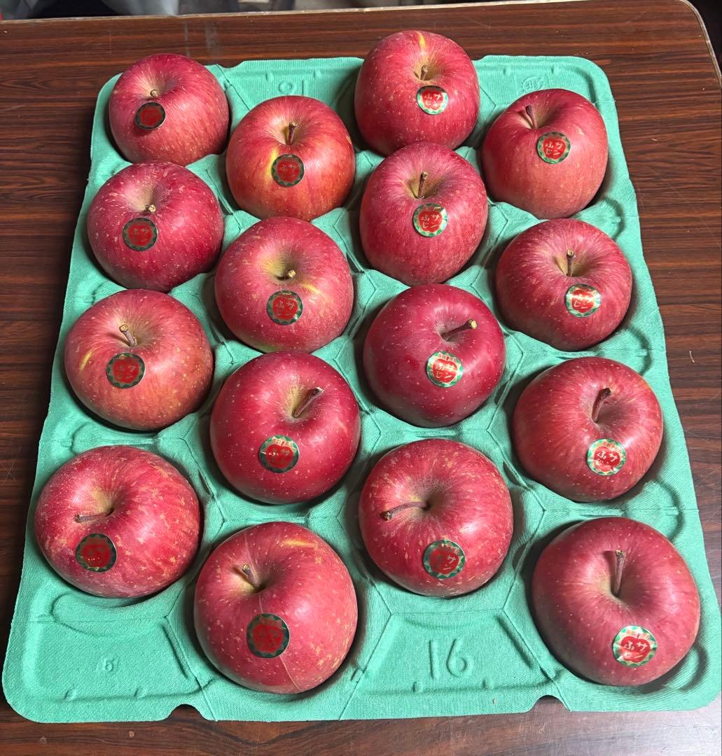 ステマル青森県産　減農薬栽培　サンふじ良品10キロ