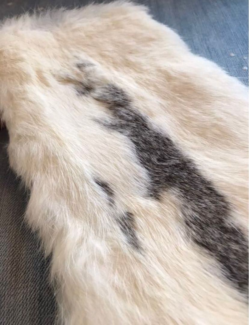 ファー　パスポートケース　新品未使用　トラベルケース