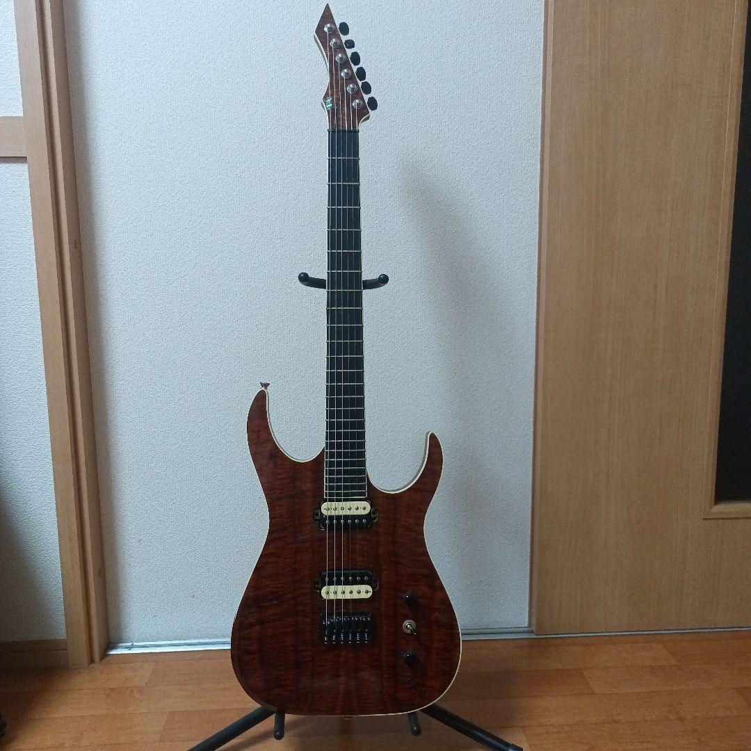 ギター Josh Parkin Guitars Custom Order