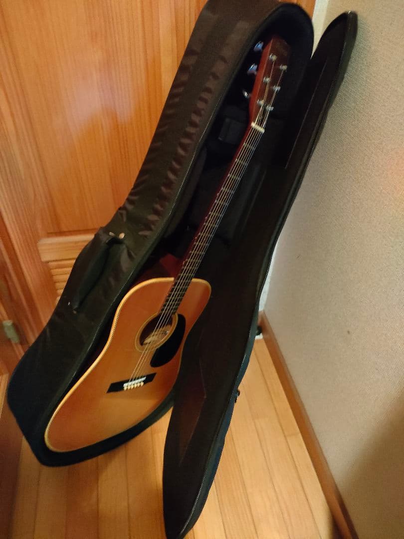 ギターセミハードケース