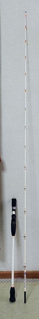 Deep Amity 195M (釣り竿・ロッド)