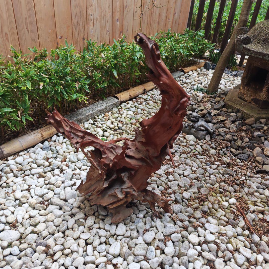 水槽用流木 中型 赤褐色 自然な形状
