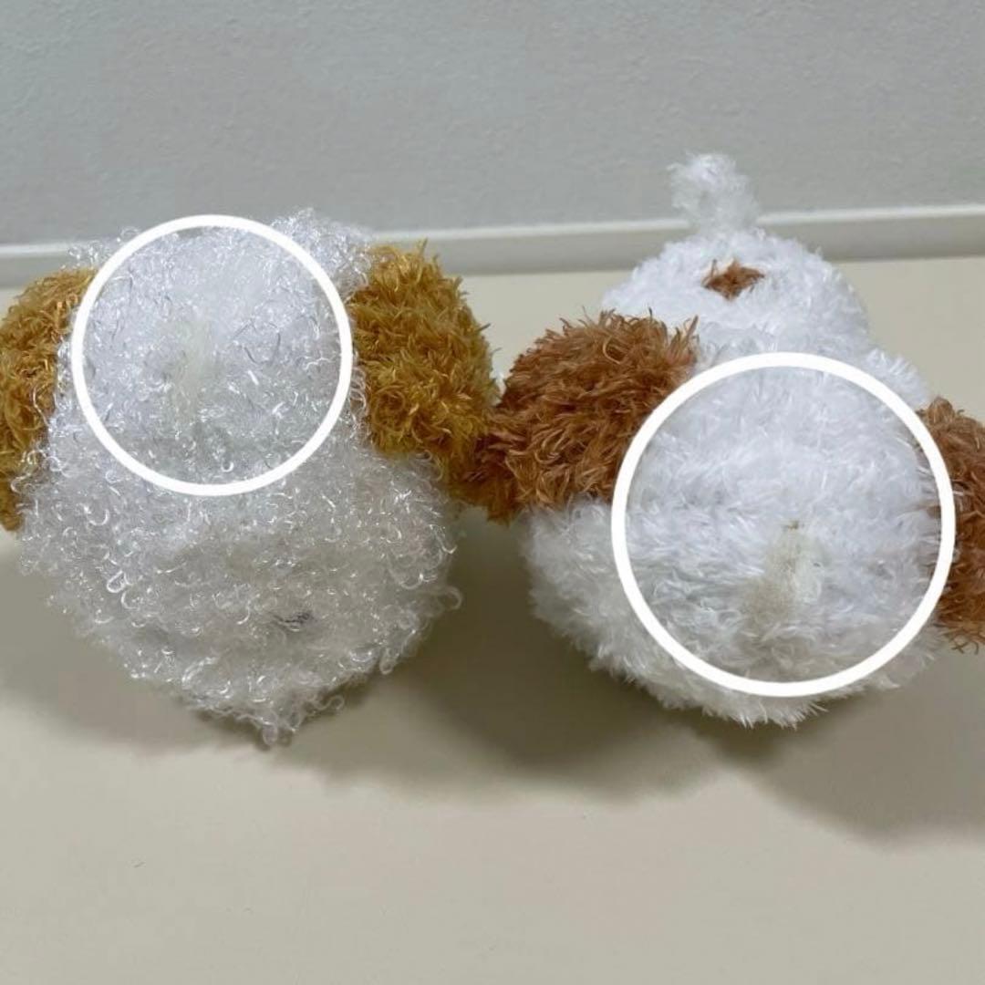 亘　アンディ　ぬいぐるみ