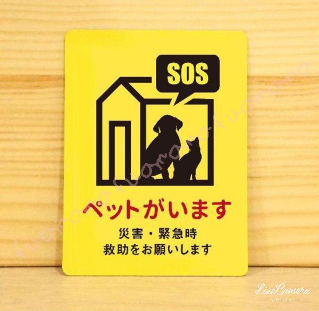 チェビオット様