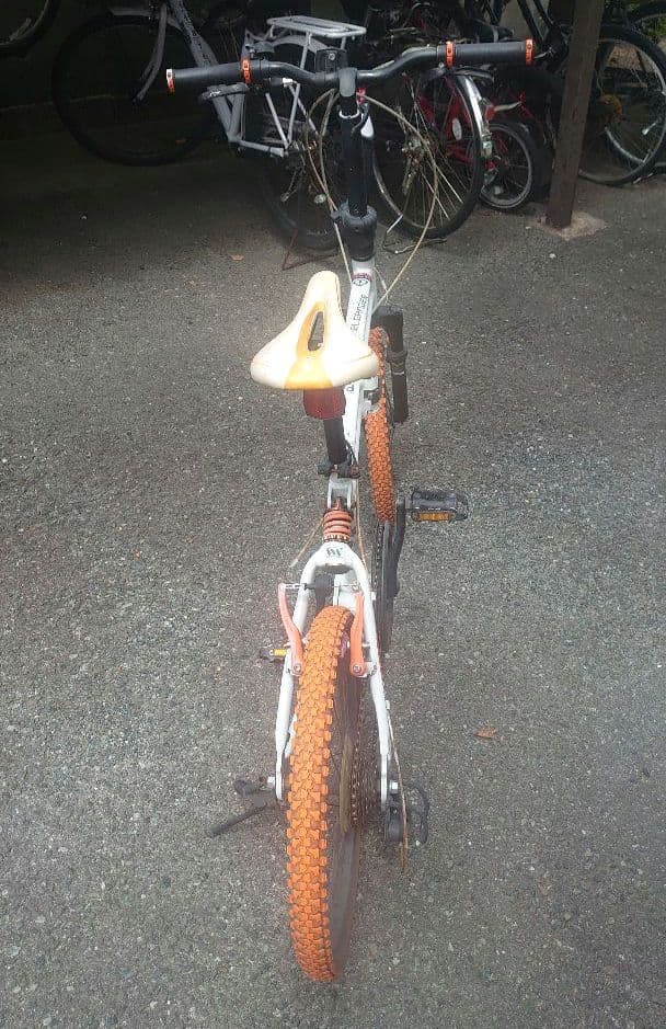 DOPPELGANGER（ドッペルギャンガー）自転車 20インチ 折りたたみ