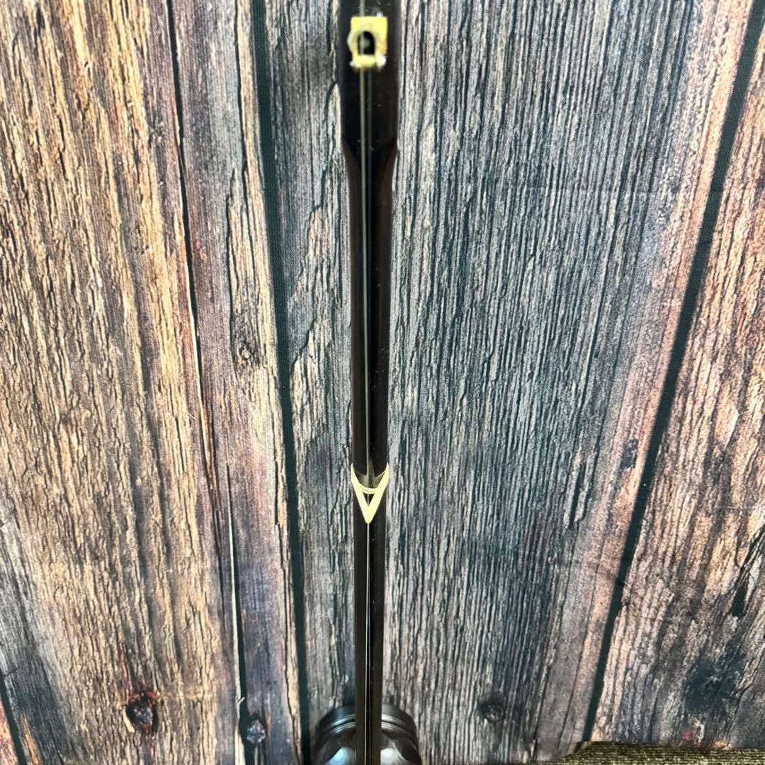 二胡 中国胡弓 中国琴 蛇皮 ケース付き 民族楽器 弦楽器