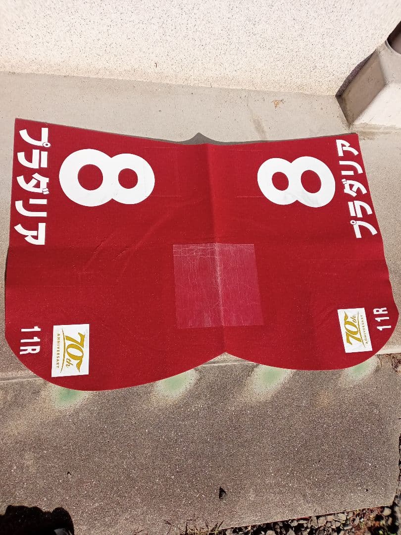 競走馬ゼッケン(プラダリア号)