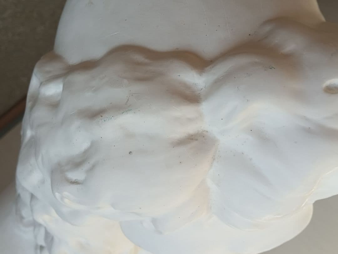 石膏像 モリエール（デッサン用）受験・練習用／発送対応