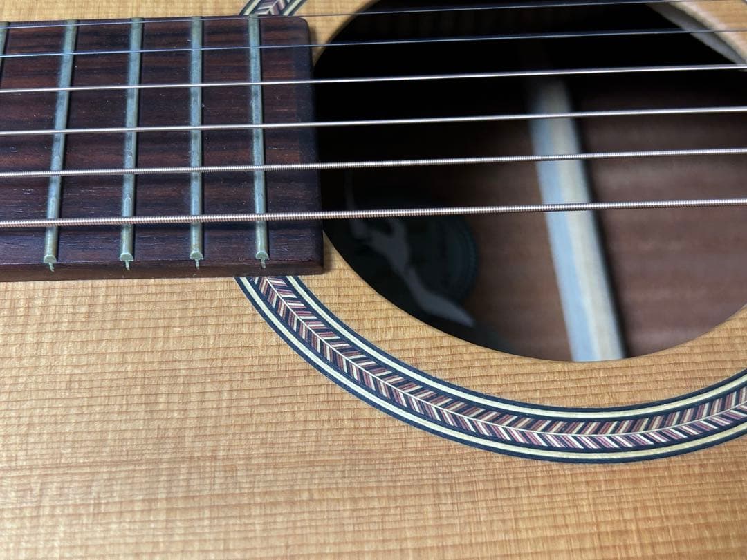 シーガル M6 スプルース　アコースティックギター