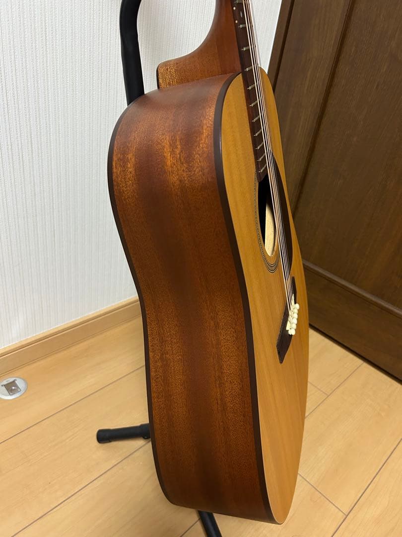 シーガル M6 スプルース　アコースティックギター