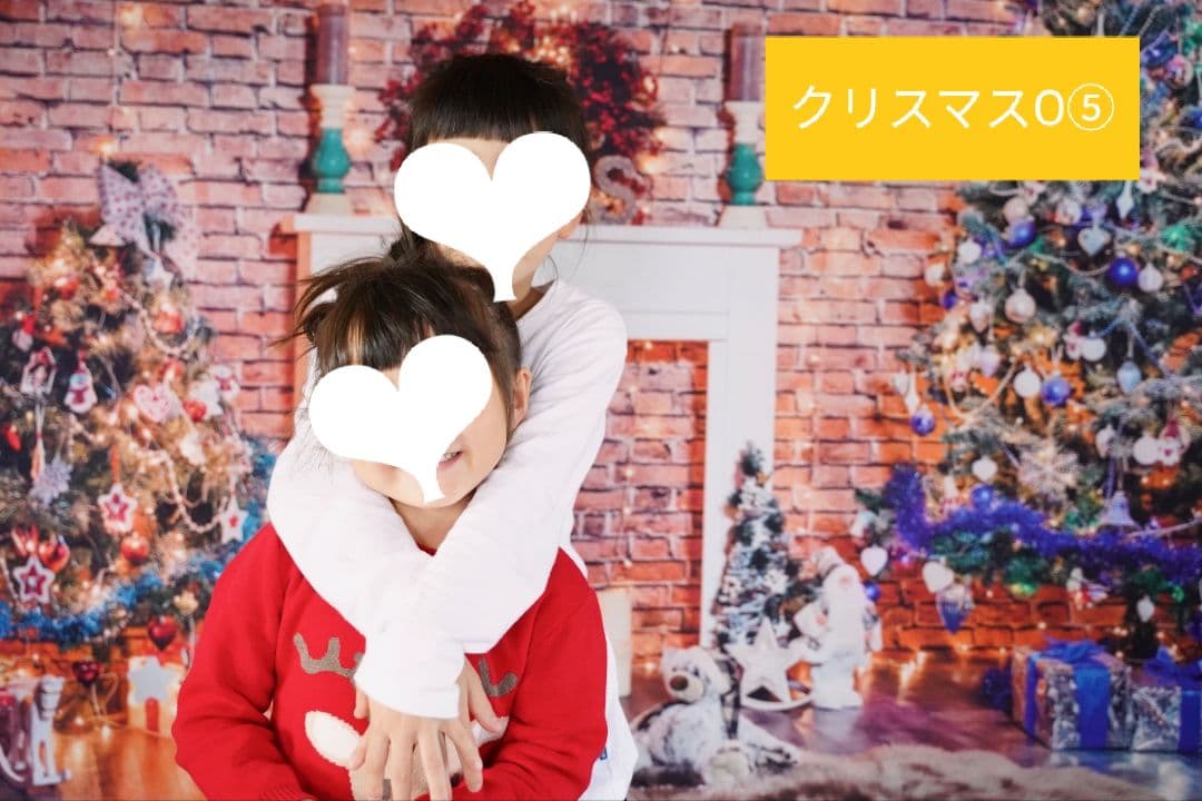 背景布【秋C】サンプル　ペット撮影用　紅葉　イチョウ　トリミングチョーカー販売中