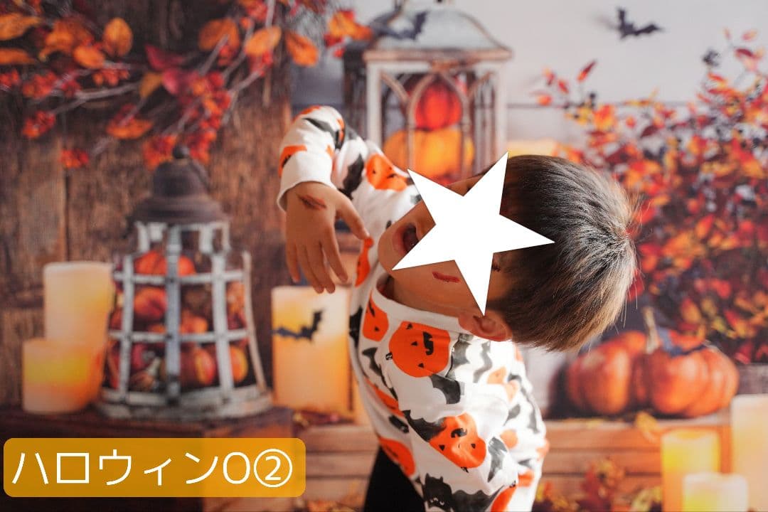 背景布【秋C】サンプル　ペット撮影用　紅葉　イチョウ　トリミングチョーカー販売中