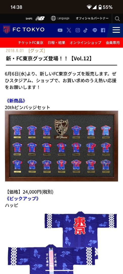 FC東京 20周年記念ピンバッジセット