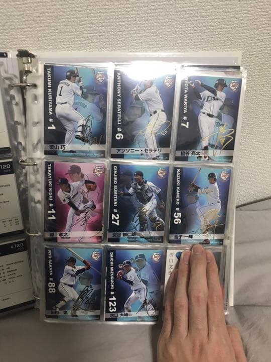 【交渉OK】埼玉西武ライオンズファンクラブカード 2015年 コンプリート