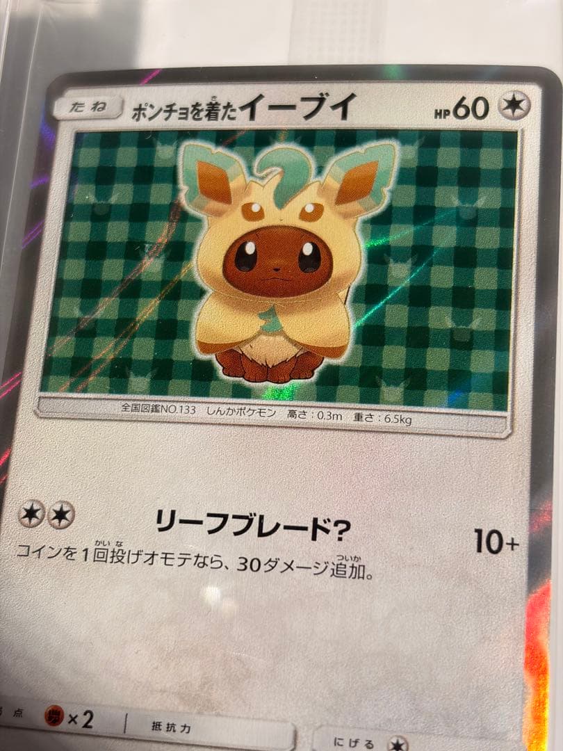 ポンチョを着たイーブイ（リーフィア） プロモ　未開封パック