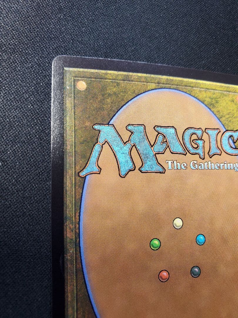 【日本産】否定の力/ボーダーレスFoil/日本語1枚