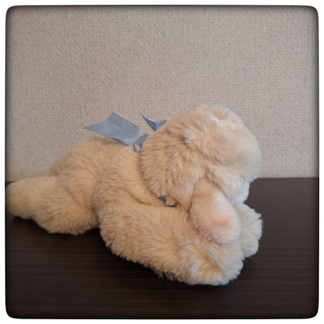 【居眠り子羊 Floppy Lamm24 cm】 シュタイフ 美品