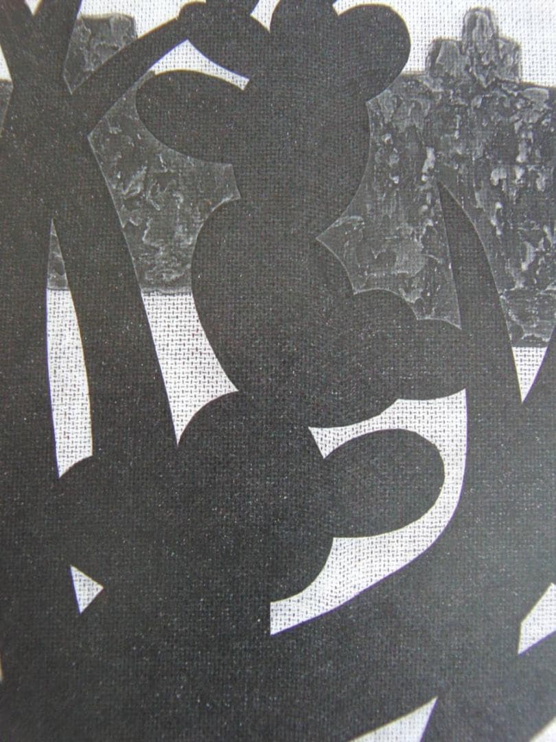 斎藤清、「サボテン（メキシコ）（A)」、希少な画集の額装画