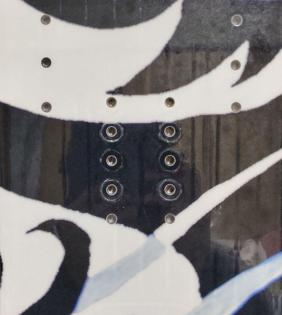 [ 綺麗目 ] MOSS CARVE 1740 RAYS アルペンボード