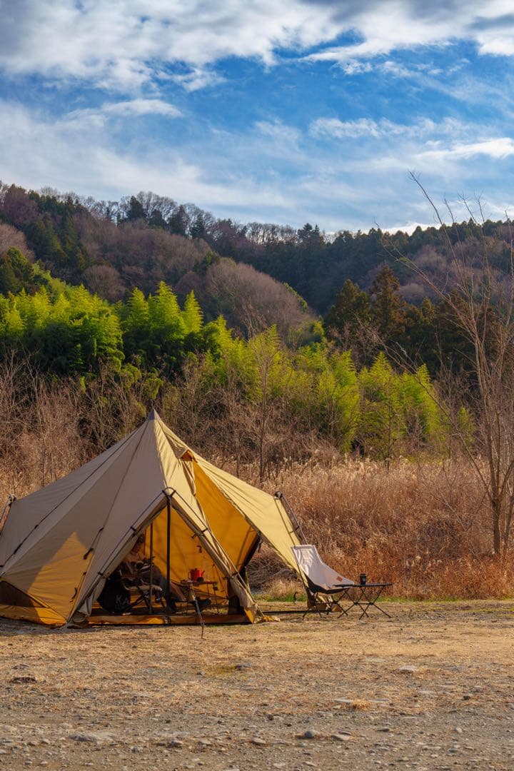 ゼインアーツ ゼクーM ZANE ARTS ZEKU-M