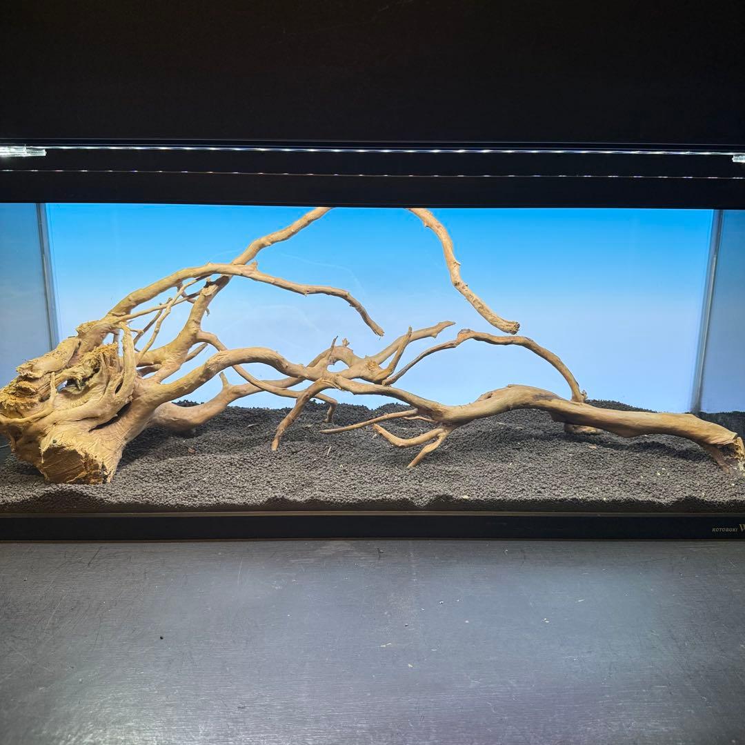 MDW-7103 ブランチウッド3本セット　流木セット　枝流木　アクアリウム