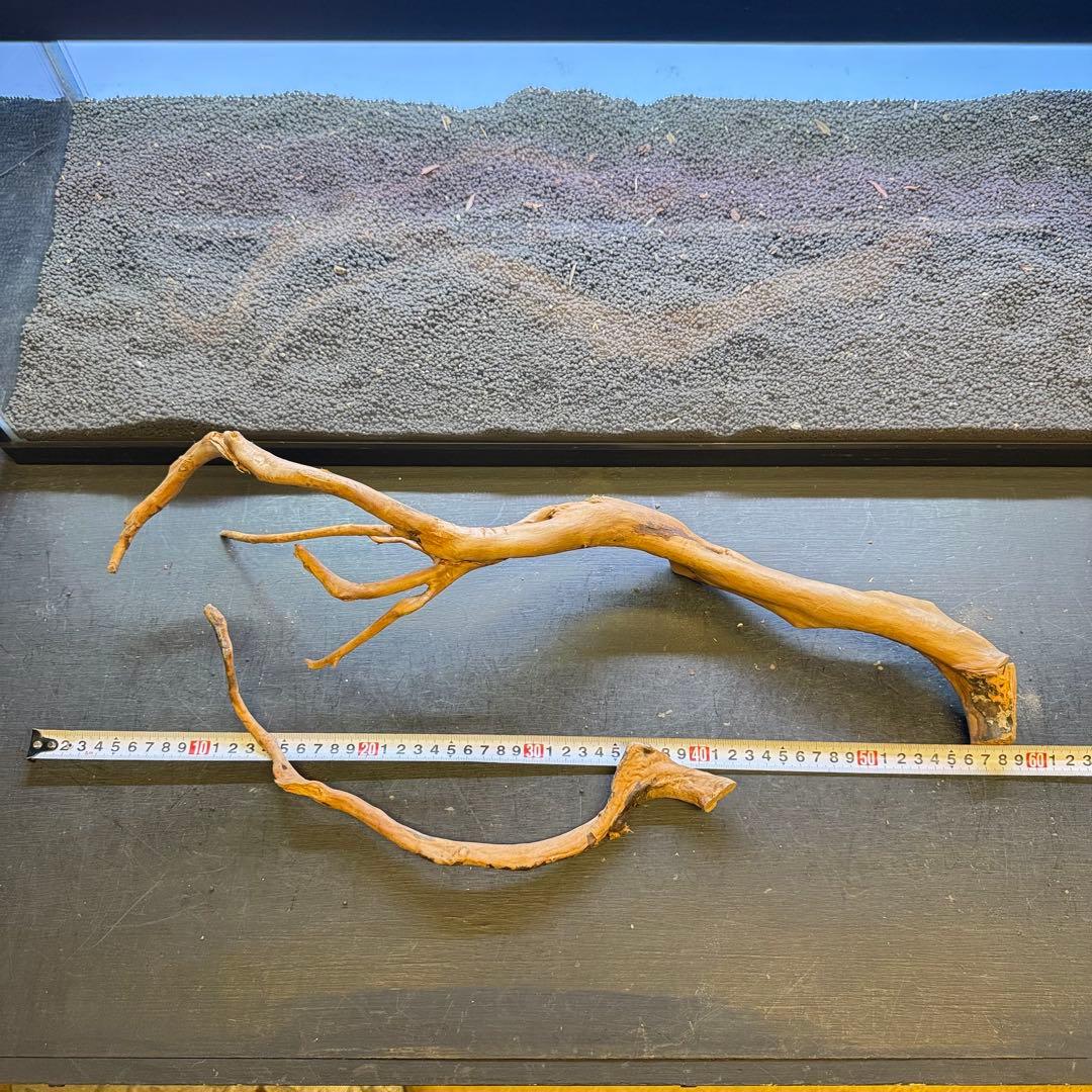 MDW-7103 ブランチウッド3本セット　流木セット　枝流木　アクアリウム