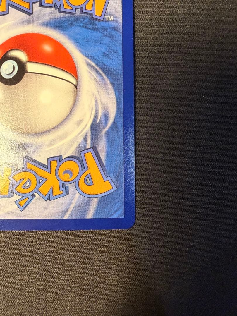 リーフィア AR 中国語版