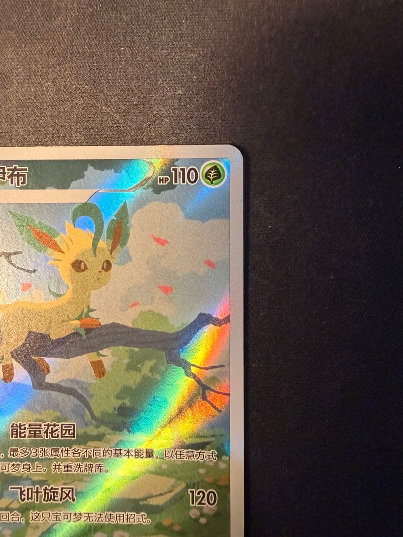 リーフィア AR 中国語版