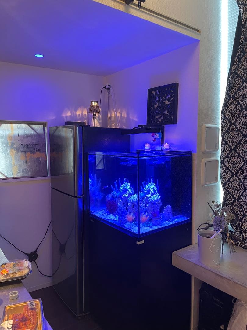 RedSea Reefer170 リーファー 美品　目黒区発送