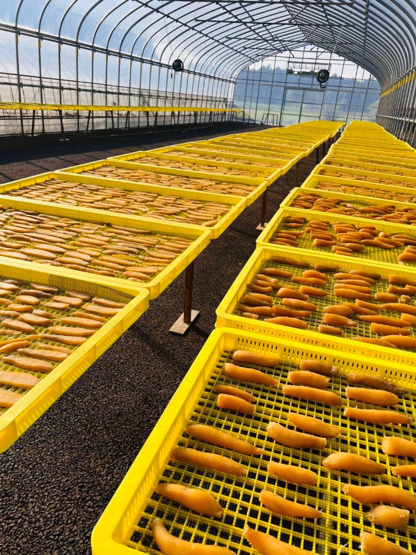 茨城県産　A品平干し芋　9Kg