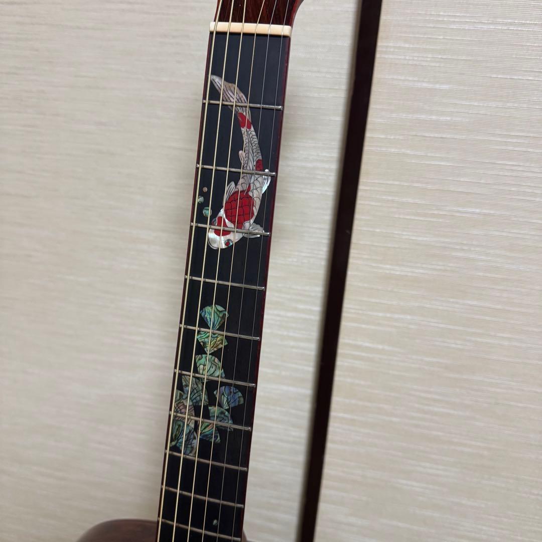 Ayers アコースティックギター CustomShop 限定版 ココボロ 錦鯉