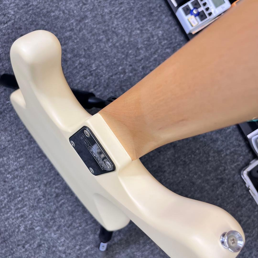 【10387】 Schecter PJ タイプベース 凛として時雨仕様？