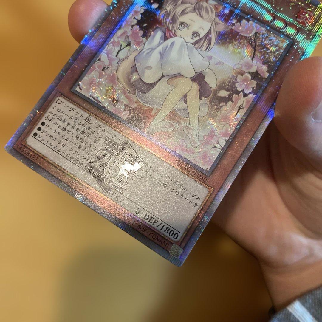 遊戯王　灰流うらら　25thシークレットレア　絵違い