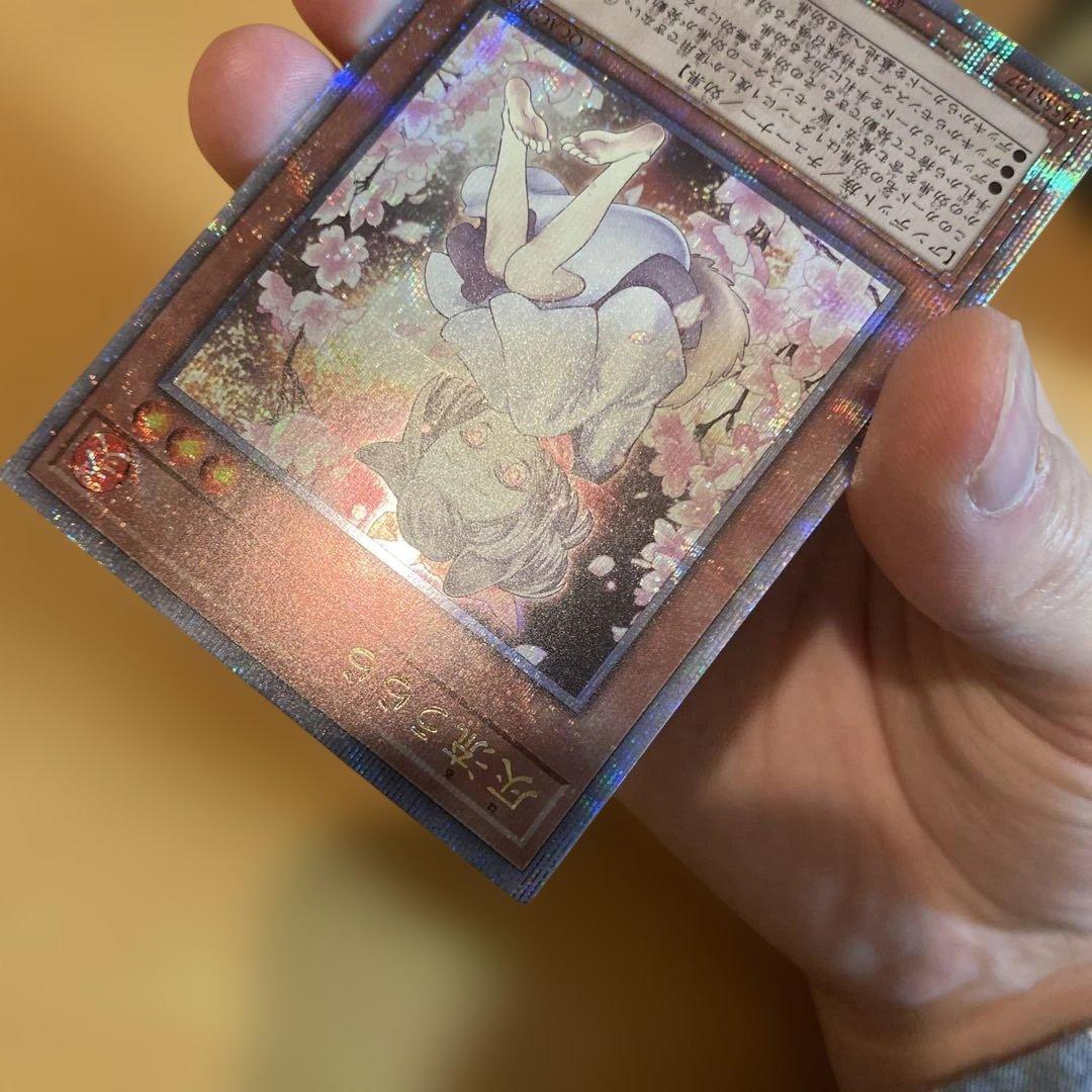 遊戯王　灰流うらら　25thシークレットレア　絵違い