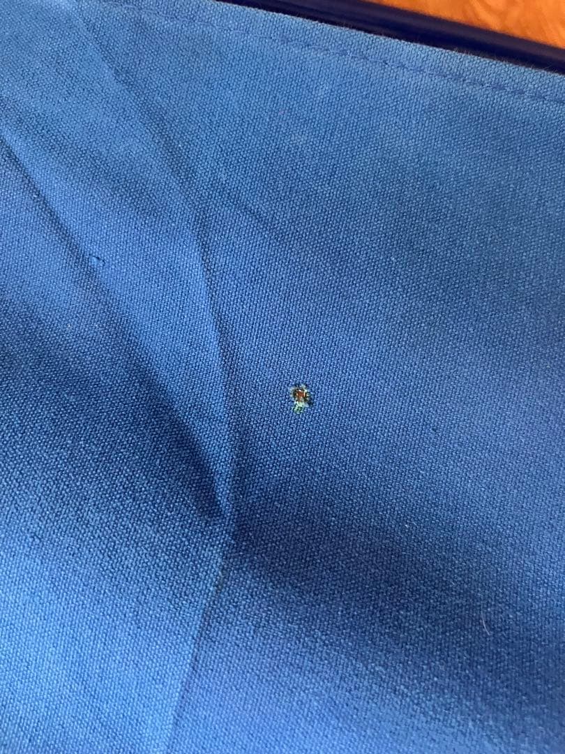 f*様 REI トラベルチェア 青 ビンテージ　貴重　美品