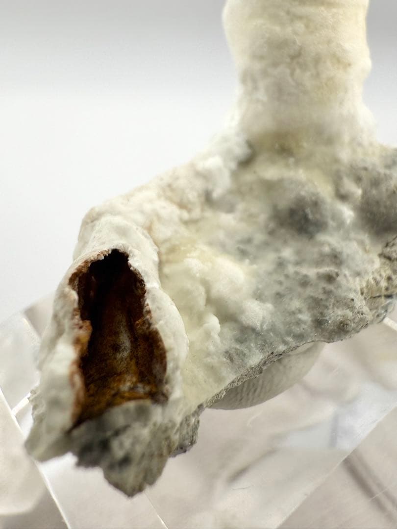 アラゴナイト　カップ　原石　鉱物標本　天然石　石　霞石