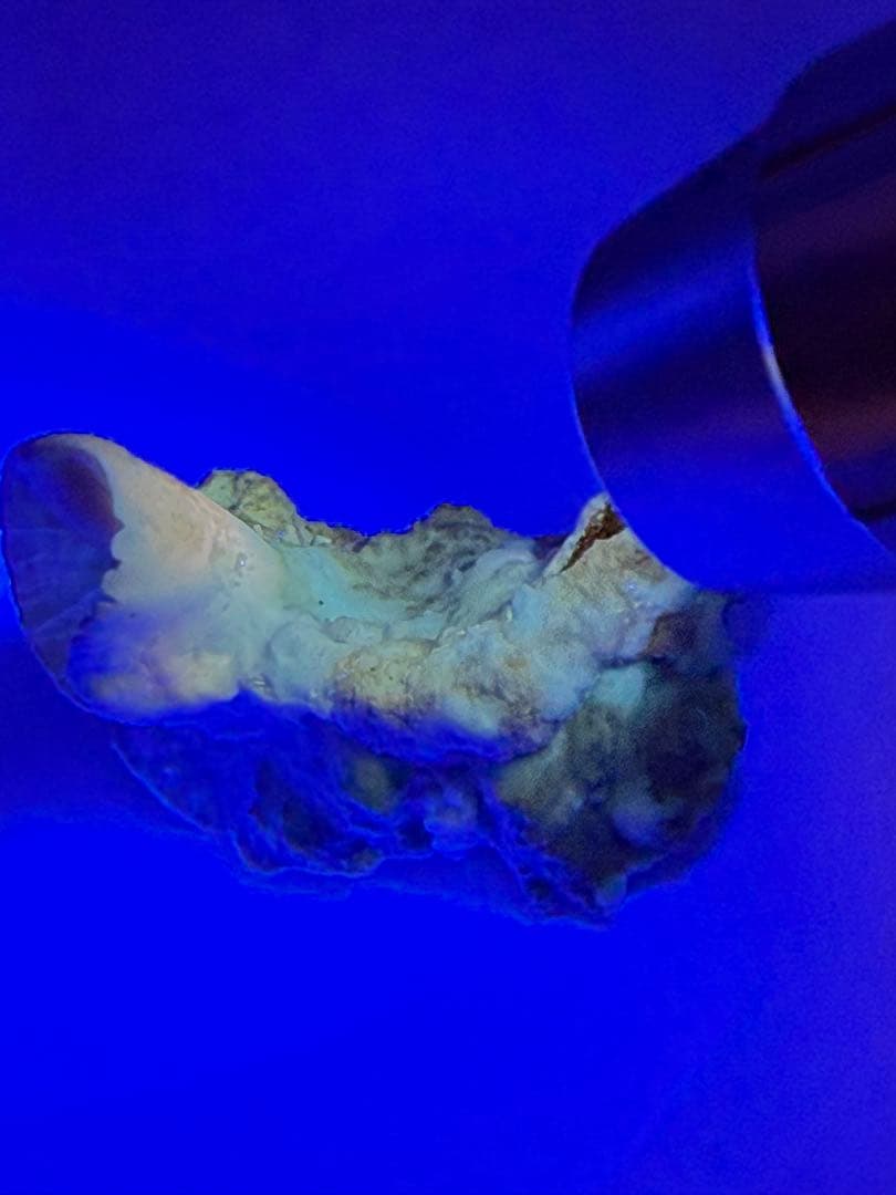 アラゴナイト　カップ　原石　鉱物標本　天然石　石　霞石